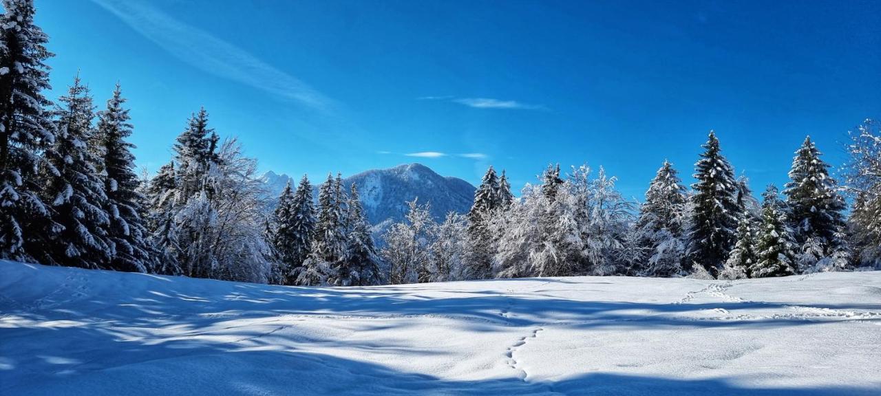 Apartma Ursic Kranjska Gora Esterno foto